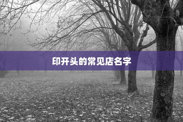 印开头的常见店名字