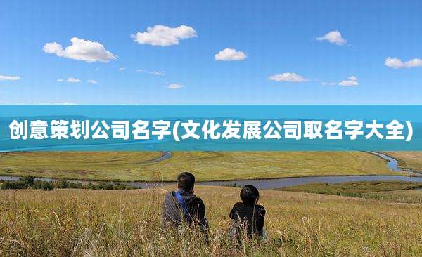 创意策划公司名字(文化发展公司取名字大全)