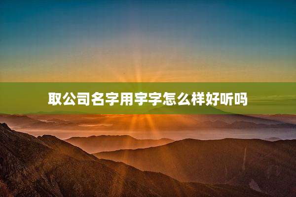 取公司名字用宇字怎么样好听吗