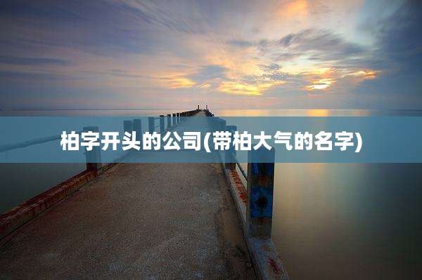 柏字开头的公司(带柏大气的名字)