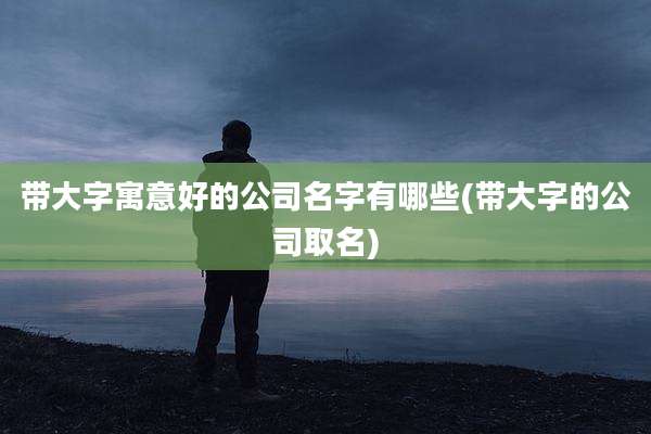 带大字寓意好的公司名字有哪些(带大字的公司取名)