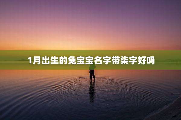 1月出生的兔宝宝名字带柒字好吗