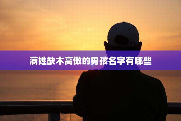 满姓缺木高傲的男孩名字有哪些