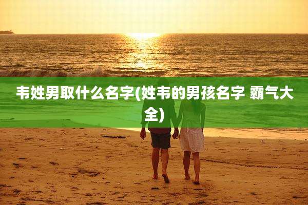 韦姓男取什么名字(姓韦的男孩名字 霸气大全)