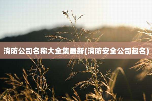 消防公司名称大全集最新(消防安全公司起名)