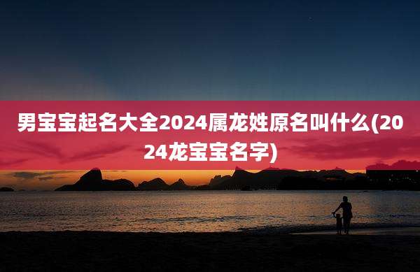 男宝宝起名大全2024属龙姓原名叫什么(2024龙宝宝名字)