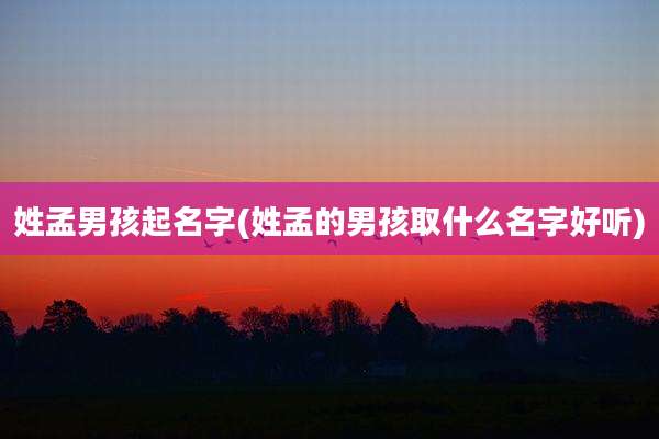 姓孟男孩起名字(姓孟的男孩取什么名字好听)