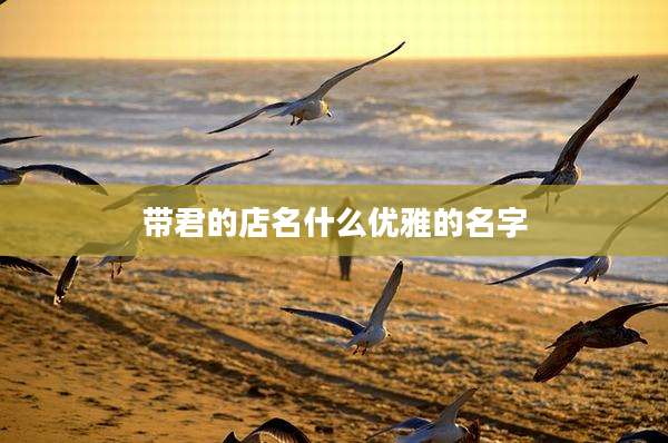 带君的店名什么优雅的名字