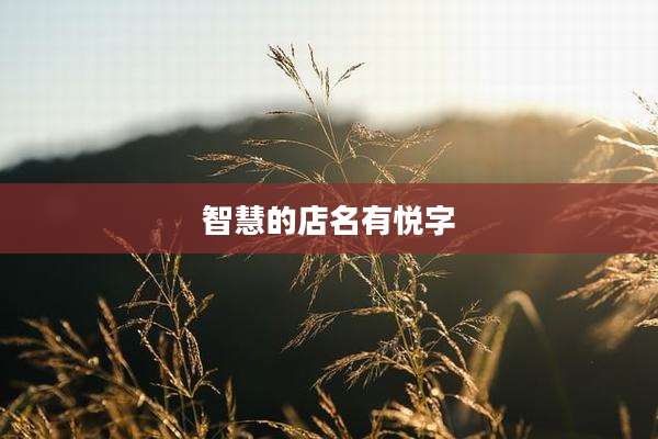 智慧的店名有悦字