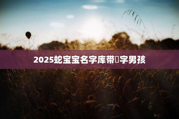 2025蛇宝宝名字库带璟字男孩