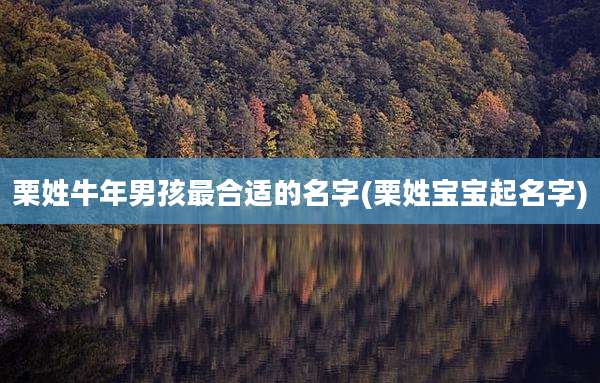 栗姓牛年男孩最合适的名字(栗姓宝宝起名字)