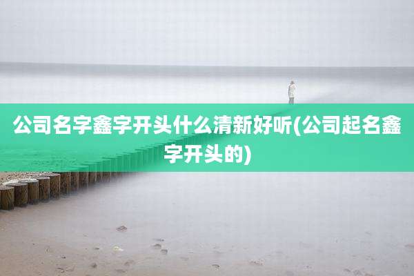 公司名字鑫字开头什么清新好听(公司起名鑫字开头的)