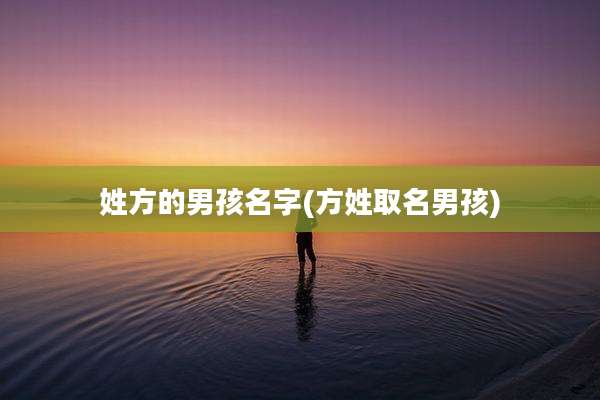 姓方的男孩名字(方姓取名男孩)