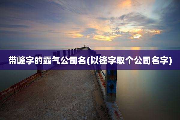 带峰字的霸气公司名(以锋字取个公司名字)