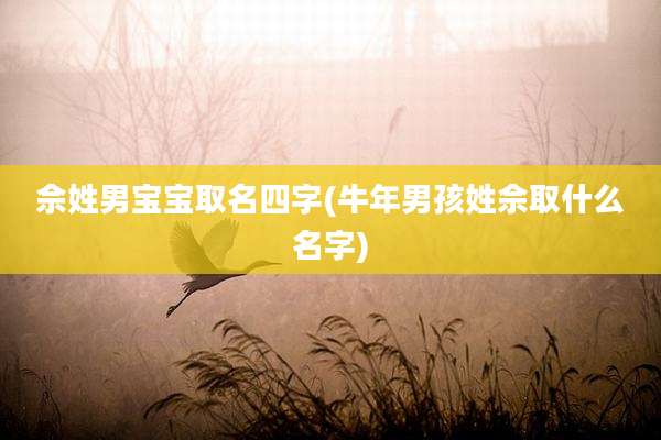 佘姓男宝宝取名四字(牛年男孩姓佘取什么名字)