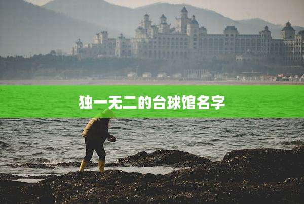 独一无二的台球馆名字