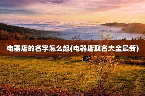 电器店的名字怎么起(电器店取名大全最新)