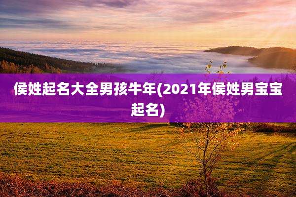 侯姓起名大全男孩牛年(2021年侯姓男宝宝起名)