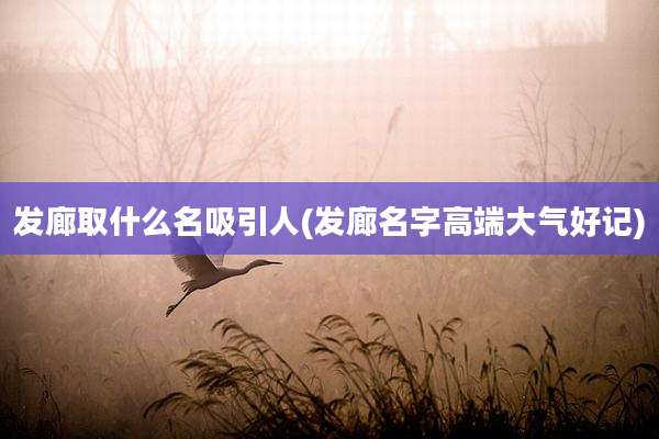 发廊取什么名吸引人(发廊名字高端大气好记)