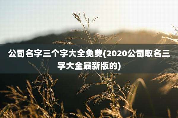 公司名字三个字大全免费(2020公司取名三字大全最新版的)