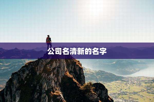 公司名清新的名字