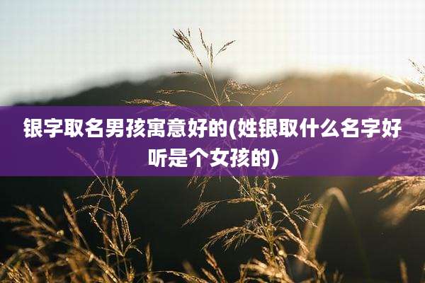 银字取名男孩寓意好的(姓银取什么名字好听是个女孩的)
