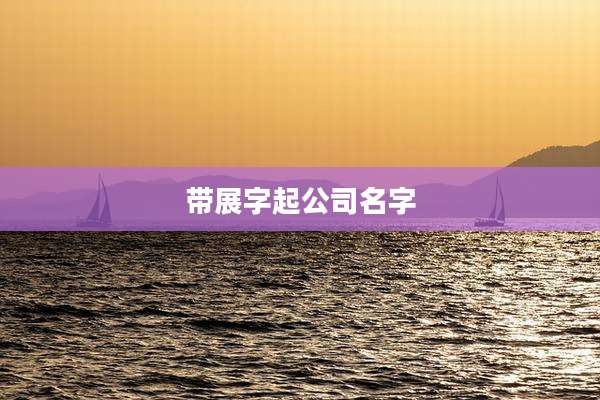 带展字起公司名字