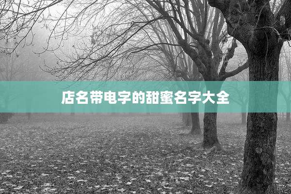 店名带电字的甜蜜名字大全