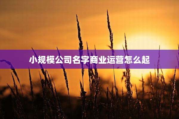 小规模公司名字商业运营怎么起