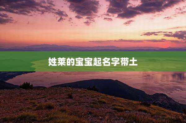 姓莱的宝宝起名字带土