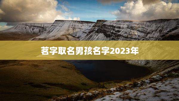 茗字取名男孩名字2023年