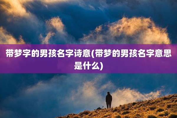 带梦字的男孩名字诗意(带梦的男孩名字意思是什么)