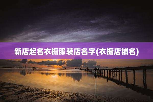 新店起名衣橱服装店名字(衣橱店铺名)