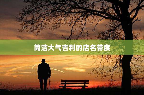 简洁大气吉利的店名带宸