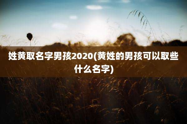 姓黄取名字男孩2020(黄姓的男孩可以取些什么名字)