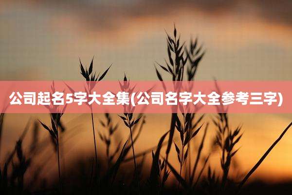 公司起名5字大全集(公司名字大全参考三字)