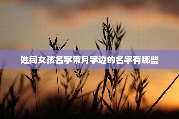 姓同女孩名字带月字边的名字有哪些