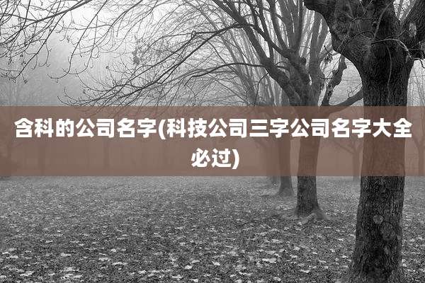 含科的公司名字(科技公司三字公司名字大全 必过)