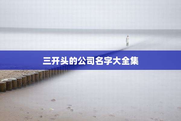 三开头的公司名字大全集