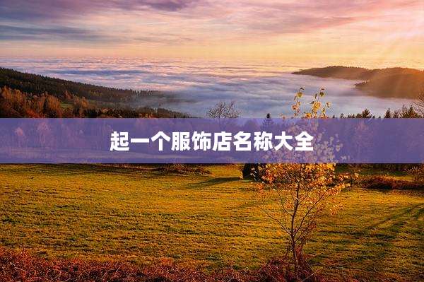 起一个服饰店名称大全