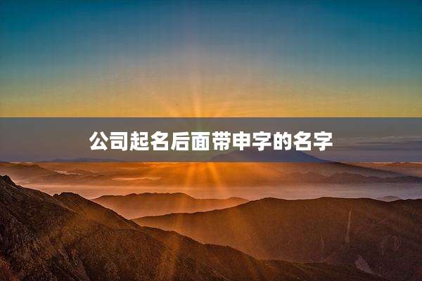 公司起名后面带申字的名字