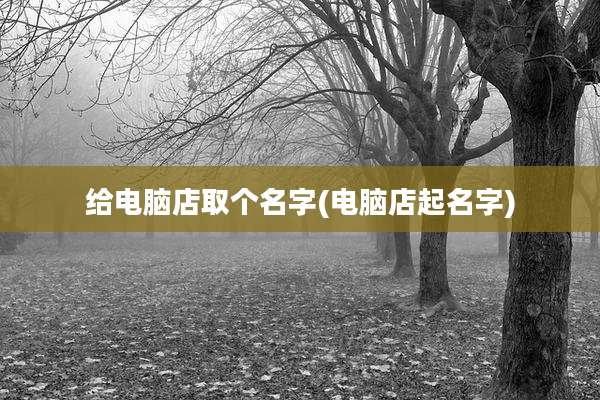给电脑店取个名字(电脑店起名字)