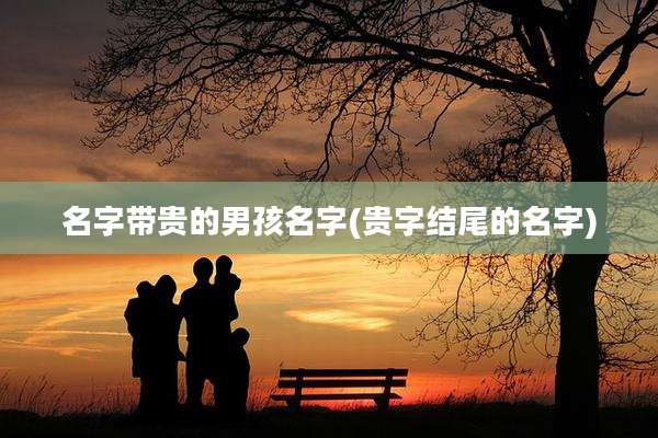 名字带贵的男孩名字(贵字结尾的名字)