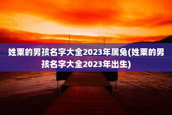 姓粟的男孩名字大全2023年属兔(姓粟的男孩名字大全2023年出生)