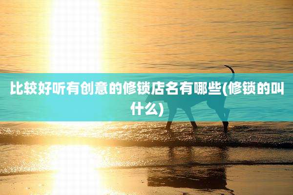 比较好听有创意的修锁店名有哪些(修锁的叫什么)