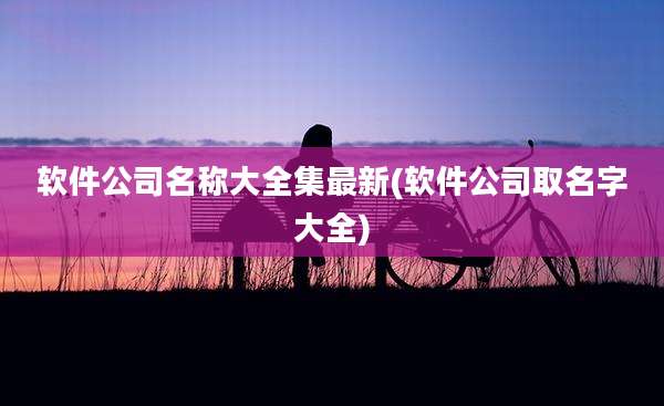 软件公司名称大全集最新(软件公司取名字大全)