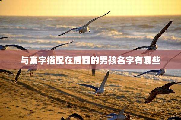 与富字搭配在后面的男孩名字有哪些