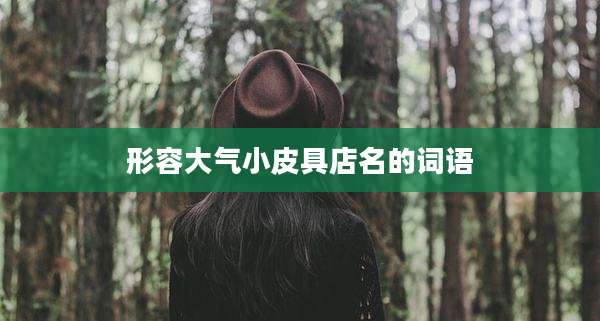 形容大气小皮具店名的词语