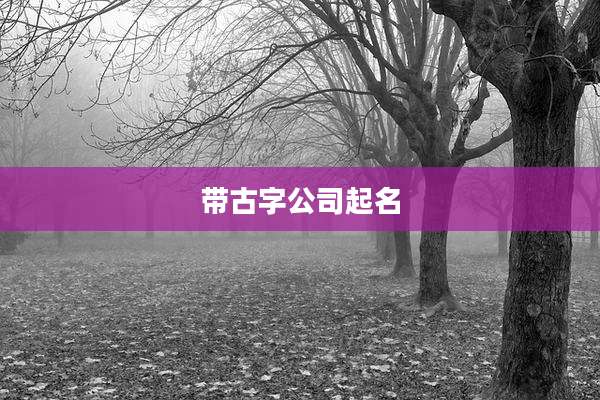 带古字公司起名