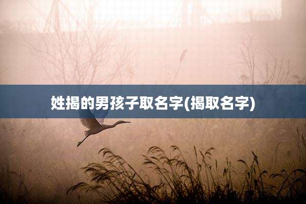 姓揭的男孩子取名字(揭取名字)